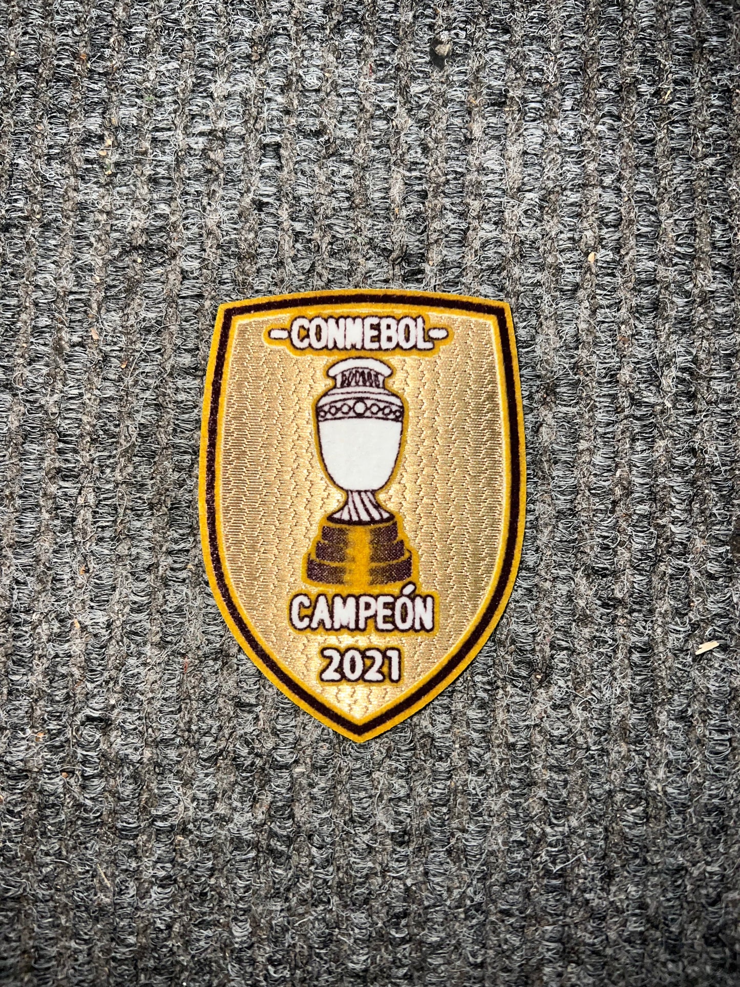 Campeón de América